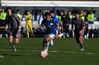 MSoc vs Springfield  Men’s Soccer vs Springfield College in the first round of the 2023 NEWMAC tournament. : Wheaton, MSoccer, MSoc, Men’s Soccer, NEWMAC
